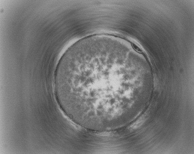 X0000078241048200611251234