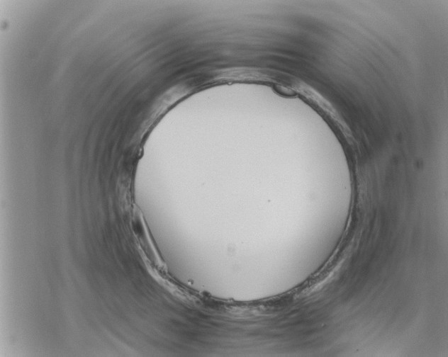 X0000078241049200611251234