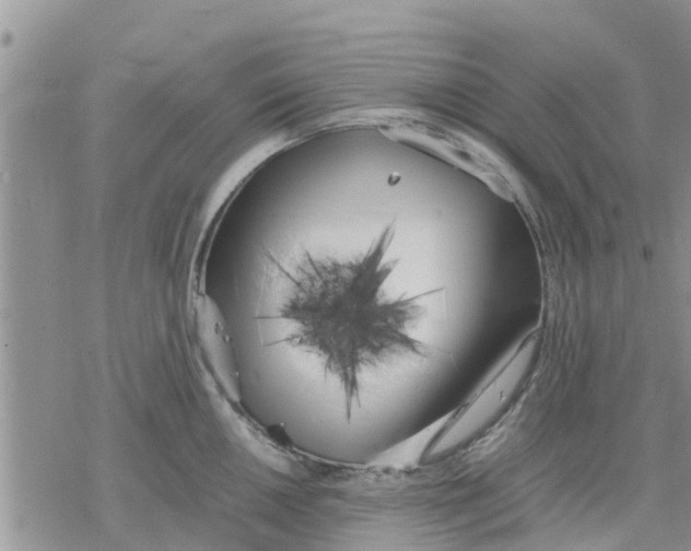 X0000078241050200611251234