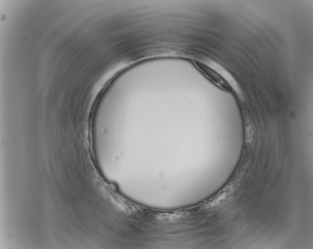 X0000078241051200611251234