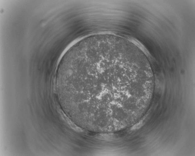 X0000078241052200611251234