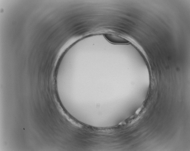 X0000078241053200611251234