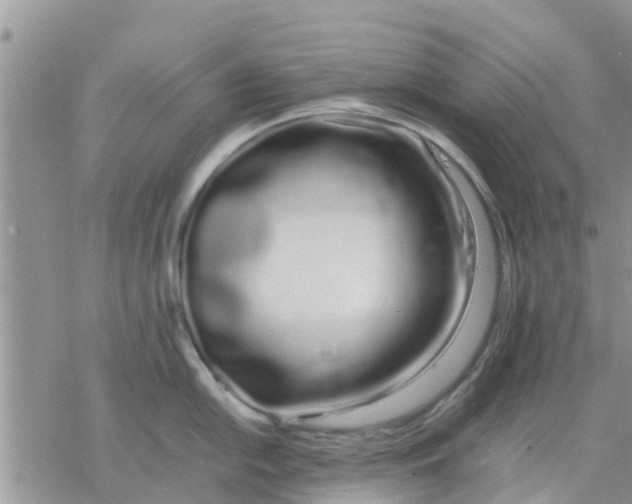 X0000078241054200611251234