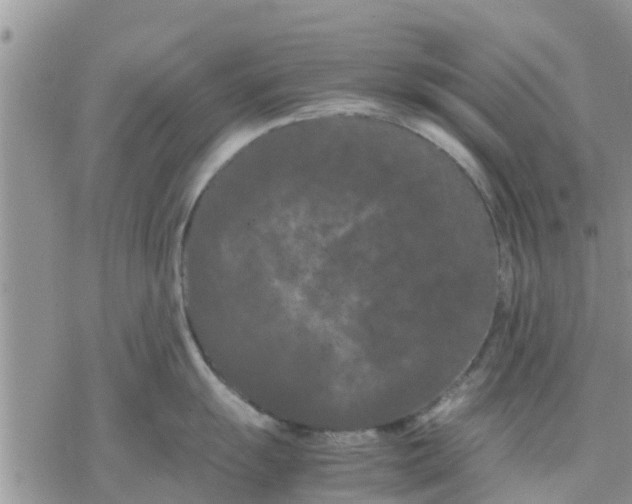 X0000078241055200611251234