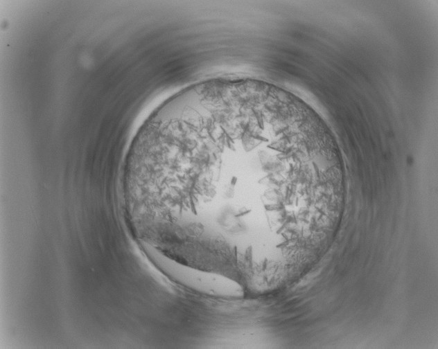 X0000078241056200611251234