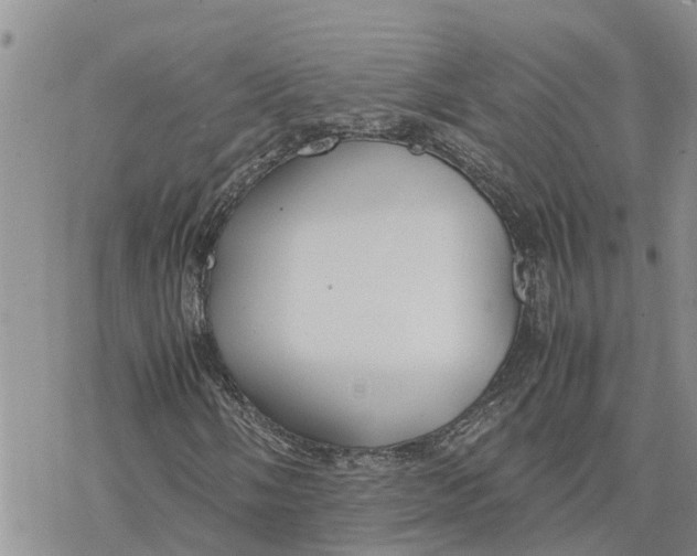 X0000078241058200611251233