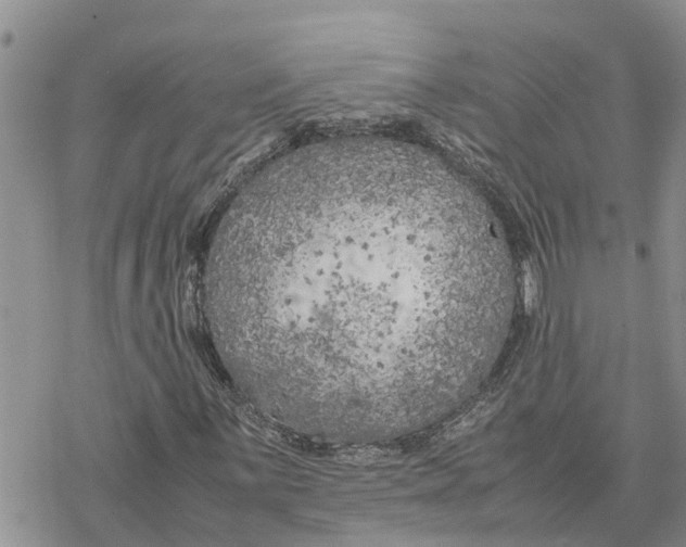 X0000078241059200611251233