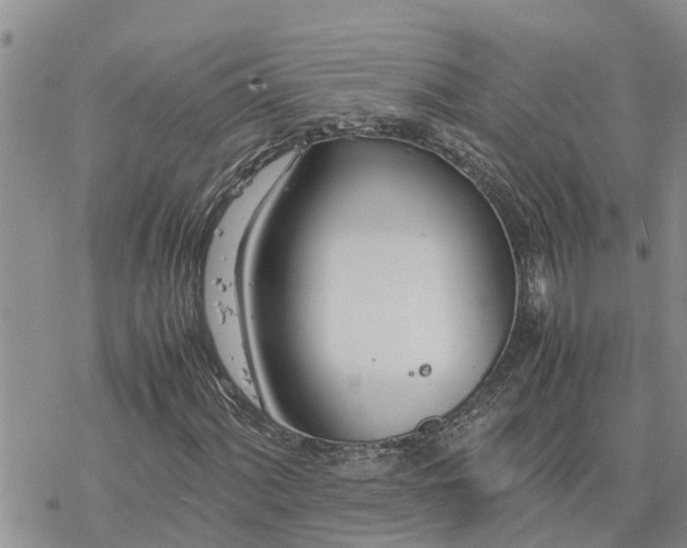 X0000078241060200611251233