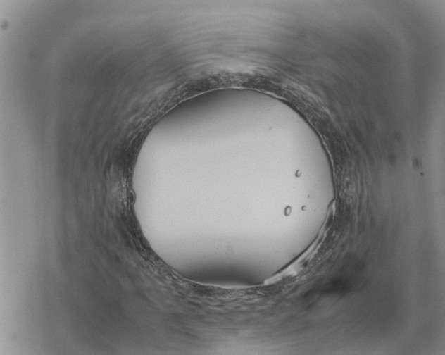 X0000078241061200611251233