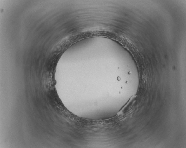 X0000078241062200611251233