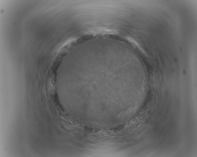 X0000078241063200611251233