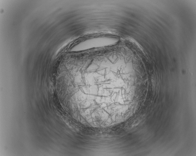 X0000078241064200611251233