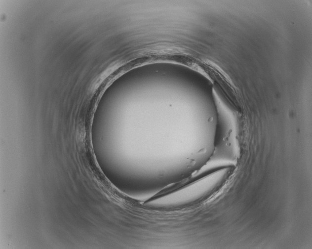 X0000078241065200611251233