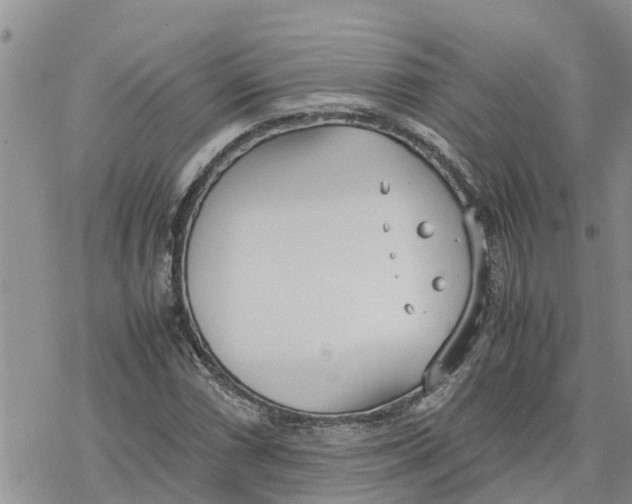 X0000078241066200611251233