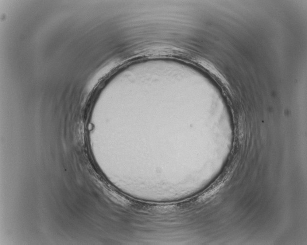 X0000078241067200611251233