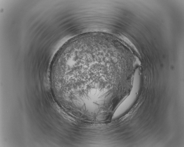 X0000078241068200611251233