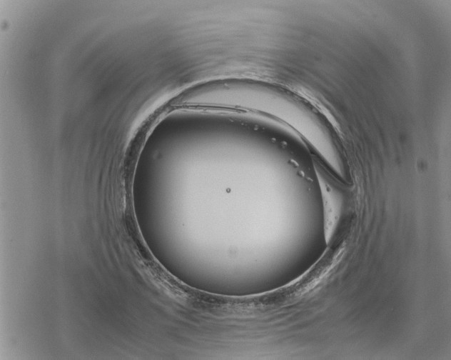 X0000078241069200611251233