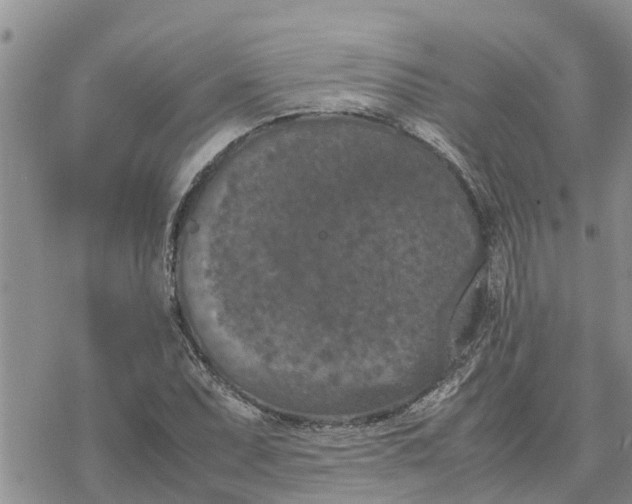 X0000078241071200611251233