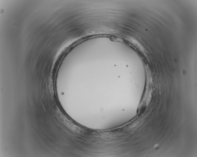 X0000078241072200611251233