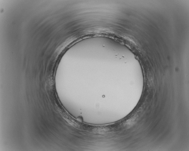 X0000078241073200611251233