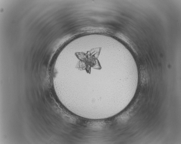 X0000078241074200611251233