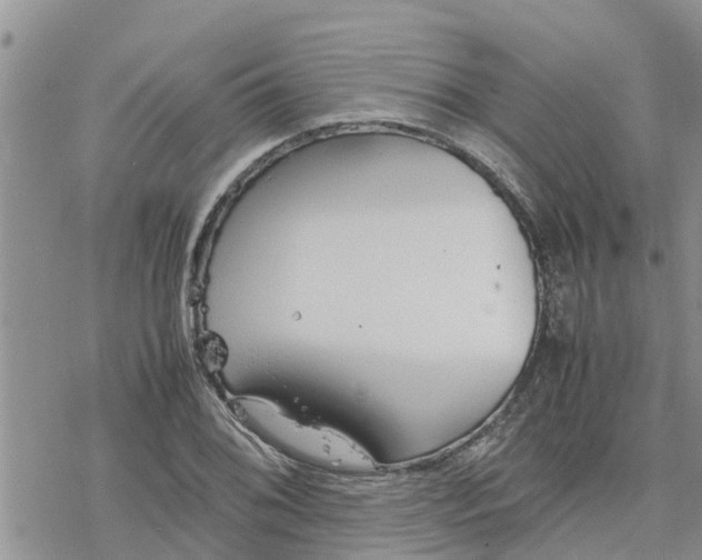 X0000078241076200611251233