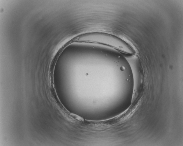 X0000078241077200611251233