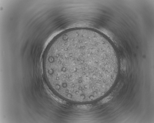 X0000078241078200611251233