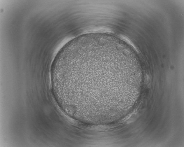 X0000078241079200611251233