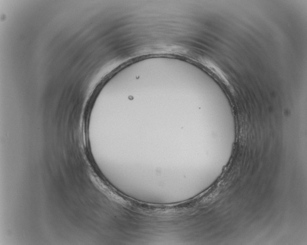 X0000078241080200611251233