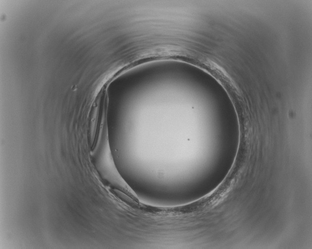 X0000078241081200611251233