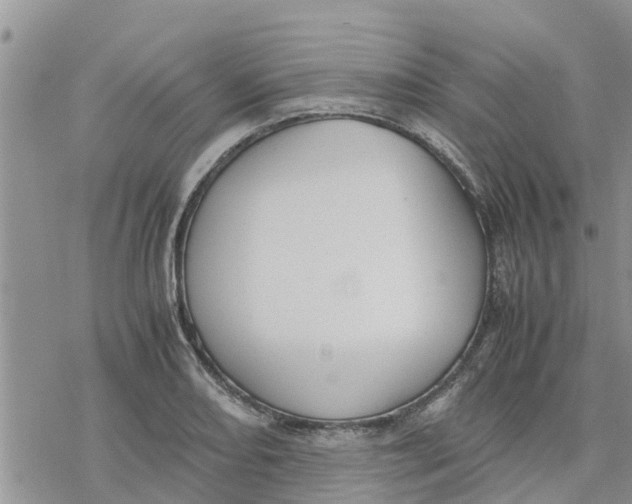 X0000078241082200611251233