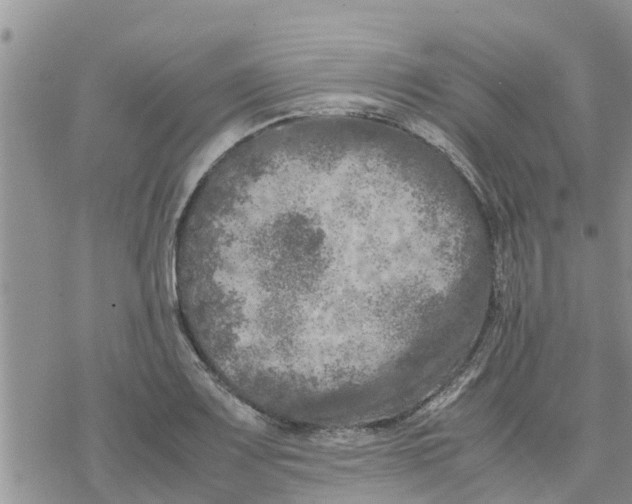 X0000078241083200611251233