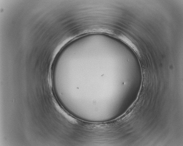 X0000078241084200611251233