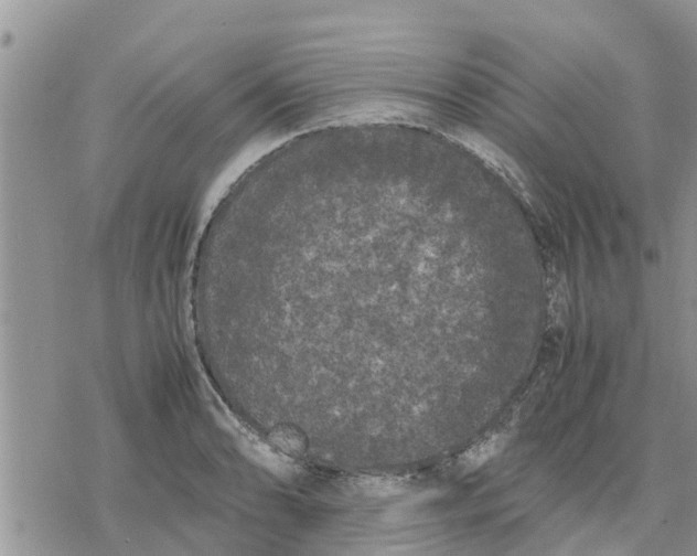 X0000078241086200611251233