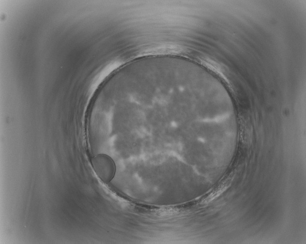 X0000078241087200611251233