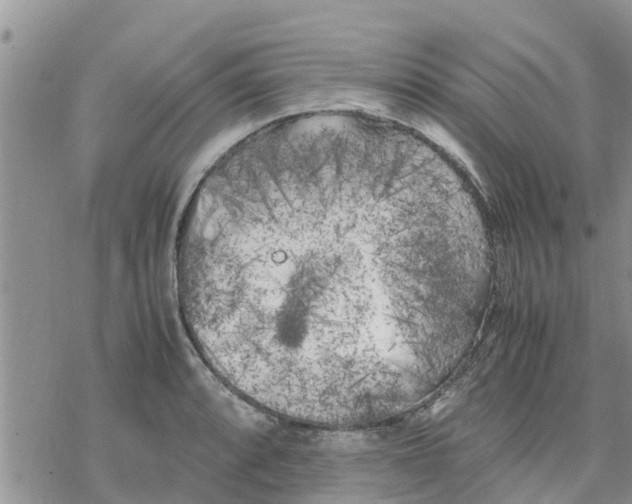 X0000078241088200611251233