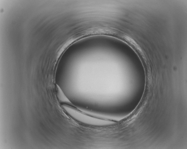 X0000078241089200611251233