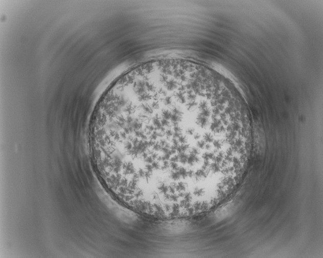 X0000078241090200611251233