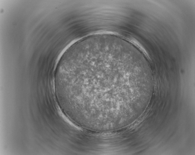 X0000078241092200611251233