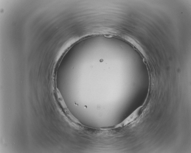 X0000078241093200611251233