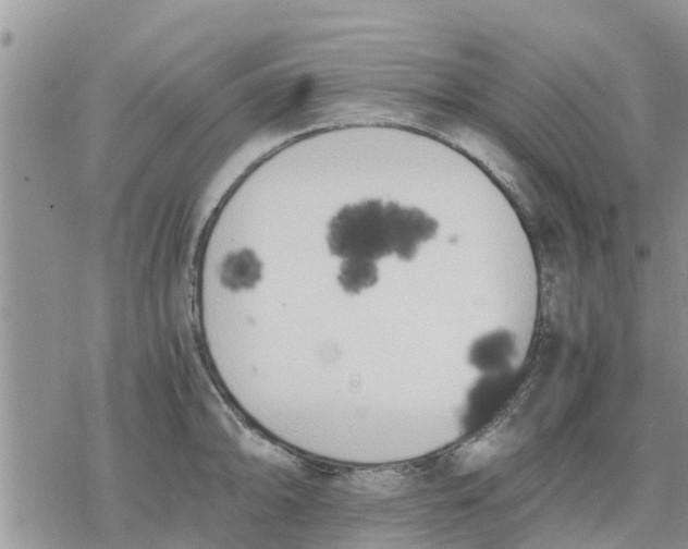 X0000078241094200611251233