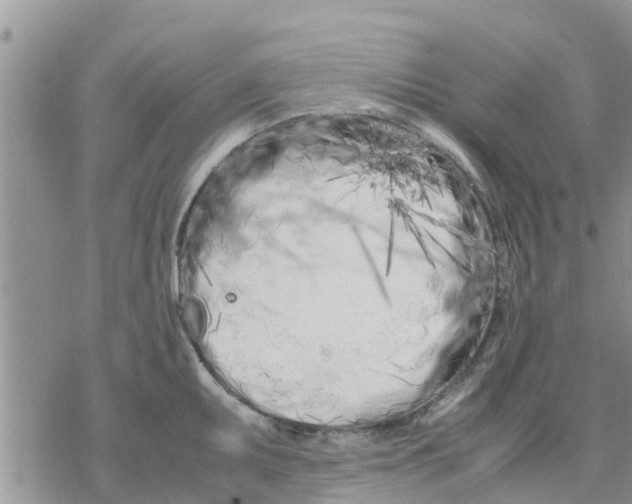 X0000078241095200611251233