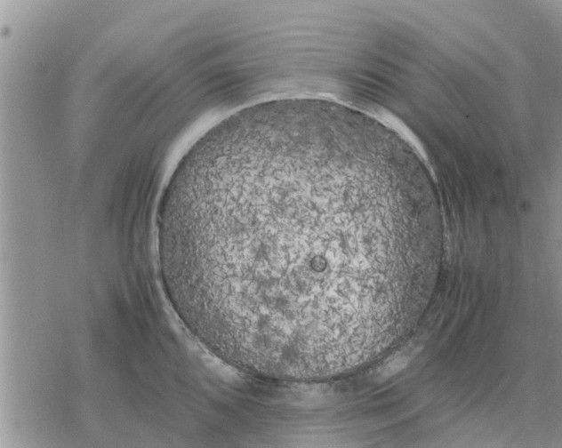 X0000078241096200611251233