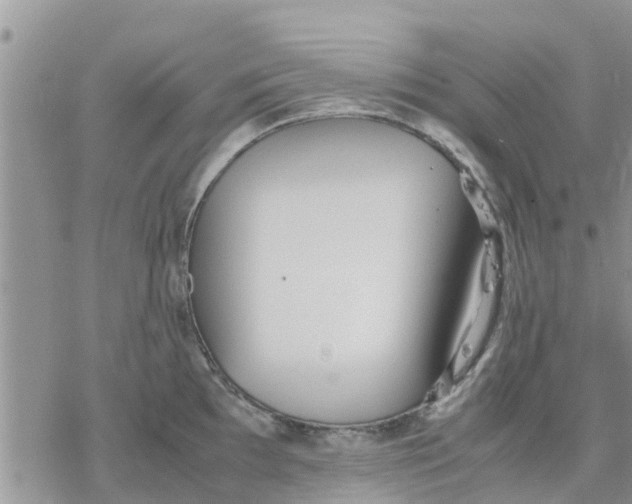 X0000078241097200611251233