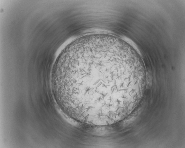 X0000078241098200611251233