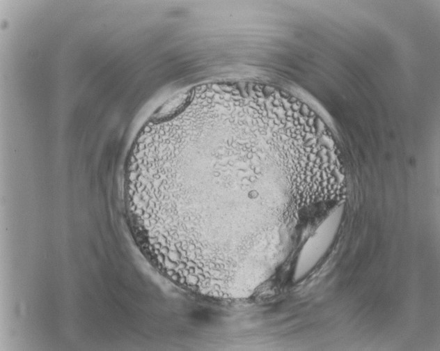 X0000078241099200611251233