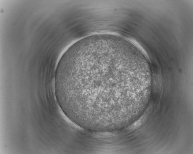 X0000078241100200611251232