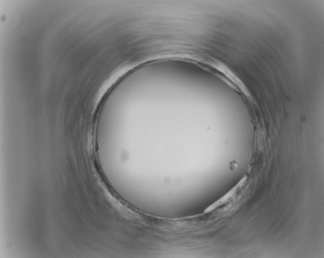 X0000078241101200611251232