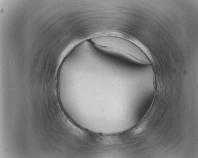 X0000078241102200611251232